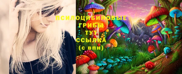 спайс Абаза
