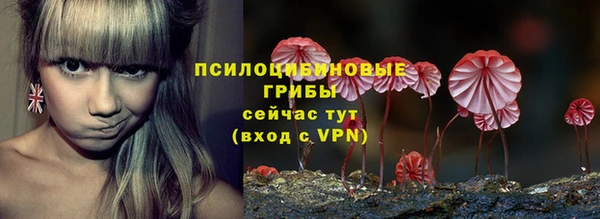 спайс Абаза