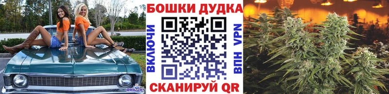 Марихуана семена  Ак-Довурак 